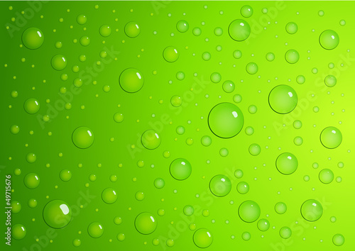 Gouttes sur fond vert pomme