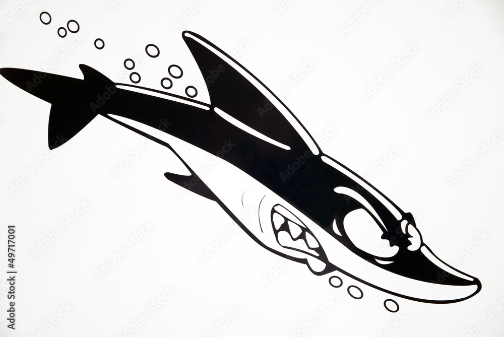 Cartoon Shark Cartoon Shark