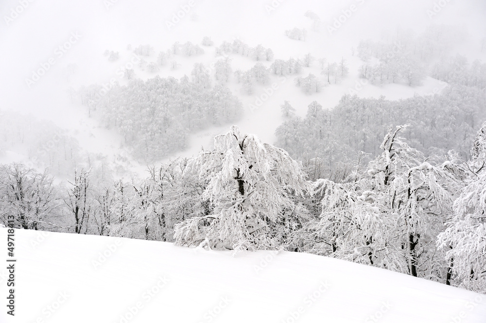 Obraz premium Landscape