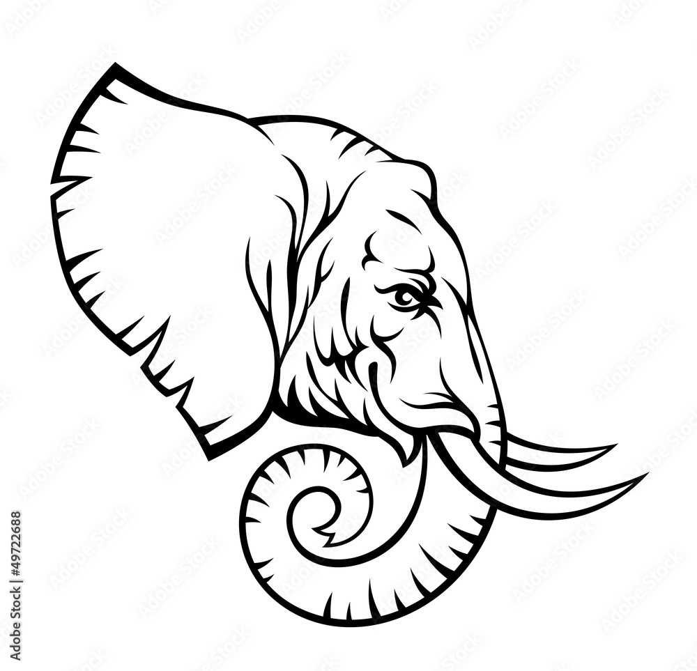 Obraz premium Elephant head