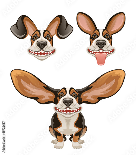 Funny dog