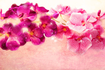Poster Orchidee Paarse orchideeën op pastelroze  © abigail210986