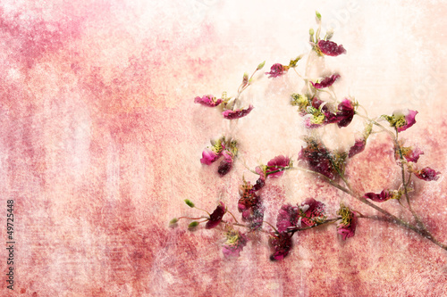 Fototapeta Naklejka Na Ścianę i Meble -  Branch of flowers in grunge style