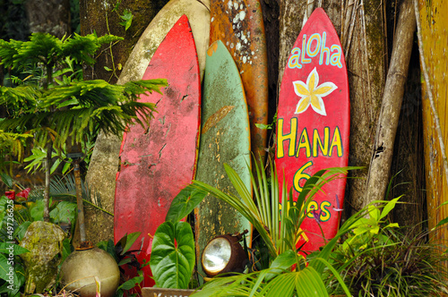 Murais de parede Welcome Display On The Road To Hana, Hawaii