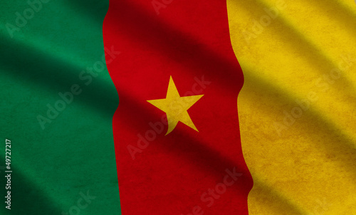Drapeau du Cameroun
