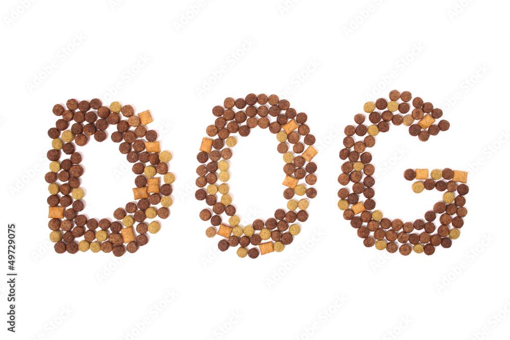 Dog food word Dog food word