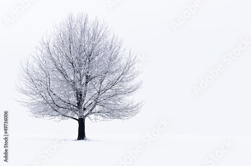 Winter landscape © danimages