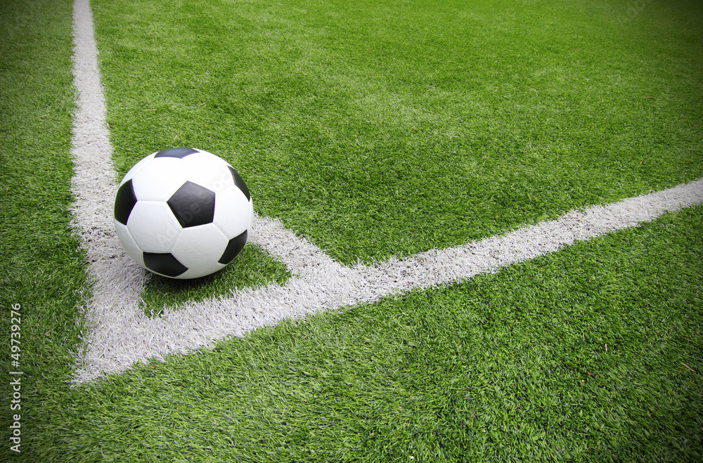 Soccer football field stadium grass line 2 Soccer football field stadium grass line 2