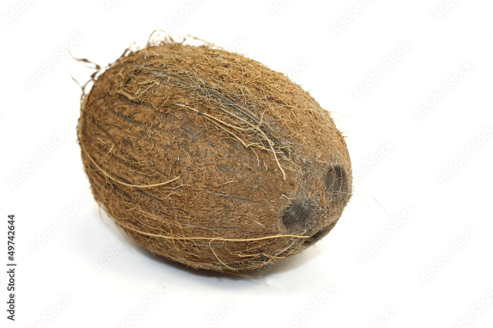 noix de coco noix de coco