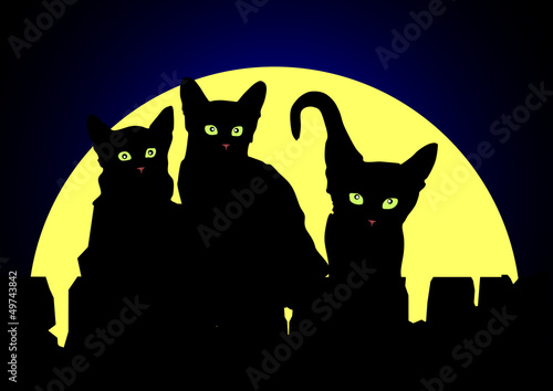 Кошки