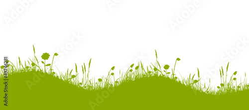 Grüne wellige Blumenwiese