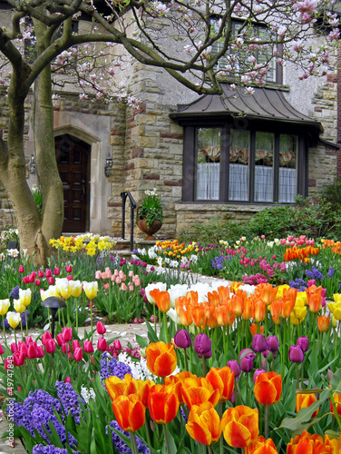 front yard with spring flowers