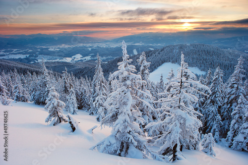 Winter forest © pyvovarpavlo