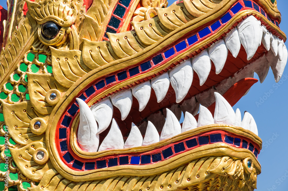 Obraz premium Dragon Face - Close Up