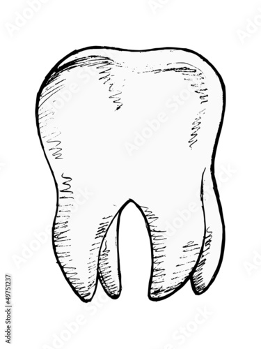 hand drawn, vector, sketch illustration of tooth