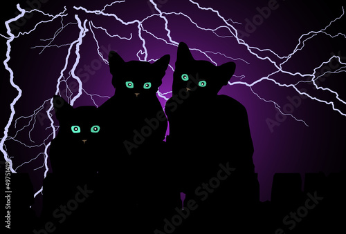 Кошки