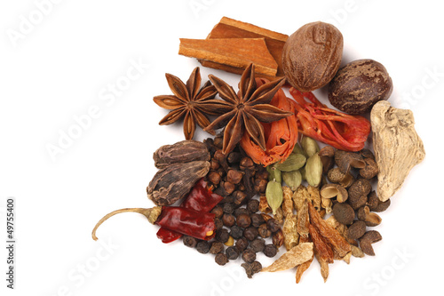 Variety of raw Indian Spices photo