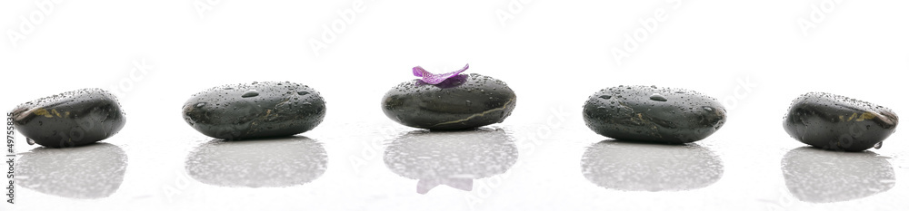 Petal on spa stone with water drops - obrazy, fototapety, plakaty 