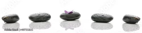 Obraz  z motywem Petal on spa stone with water drops