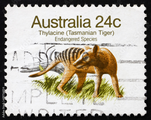 Postage stamp Australia 1981 Tasmanian Tiger, Extinct Animal photo