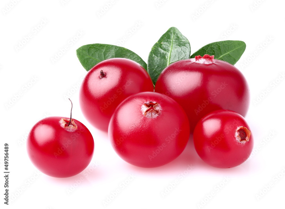 Obraz premium Beauty cranberry with leaves