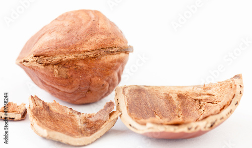 Macro close-up of cracked brown hazelnut