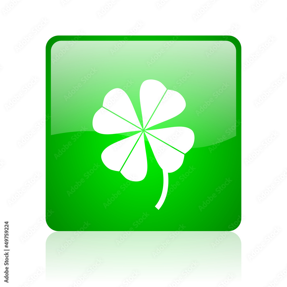 four-leaf clover green square web icon on white background four-leaf clover green square web icon on white background