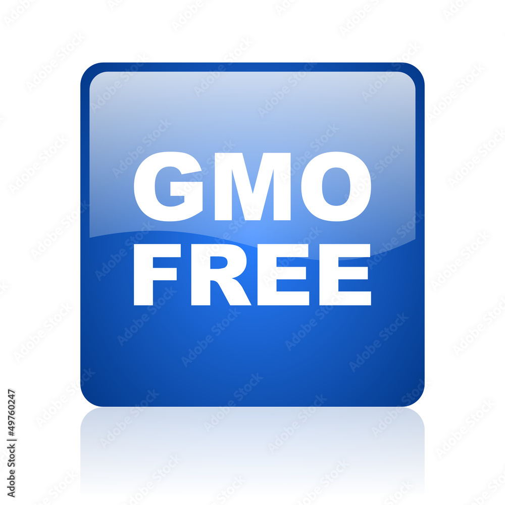 gmo free blue square glossy web icon on white background gmo free blue square glossy web icon on white background