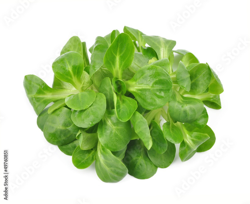 Valerianella lettuce