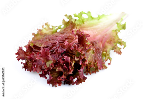 sweet red lettuce