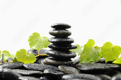 stones stack in balance with ivy