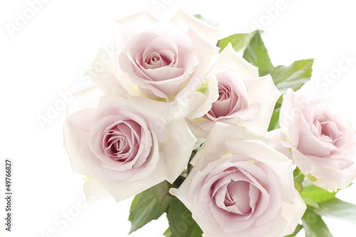 Fototapeta Naklejka Na Ścianę i Meble -  pastel purple rose bouquet for wedding background