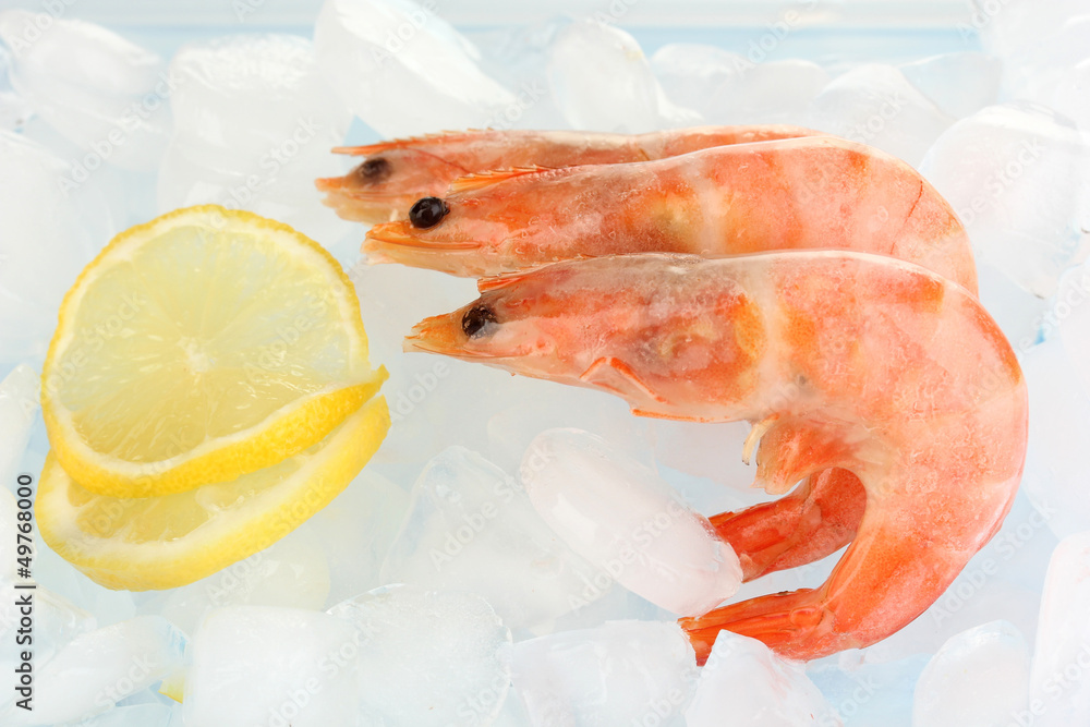 Shrimps on ice close-up