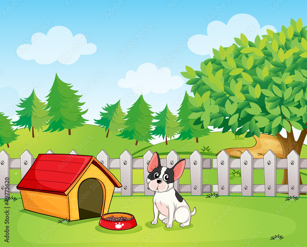A small dog inside the fence A small dog inside the fence