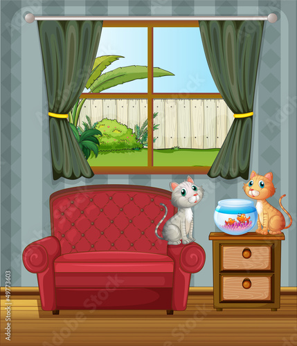 Two cats beside an aquarium