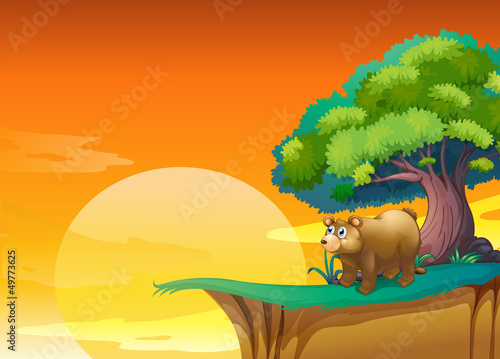 A bear near a cliff