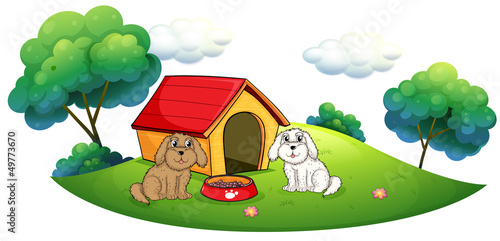 An island with a doghouse and two puppies