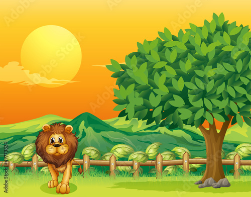 A lion at the cliff
