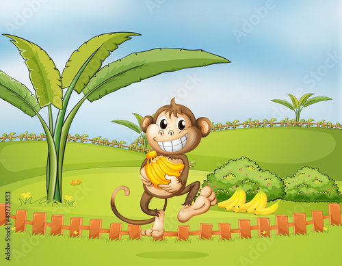 A monkey running away with bananas