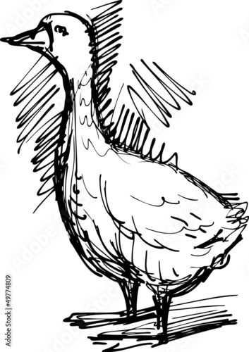 goose
