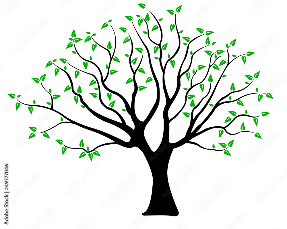 tree tree