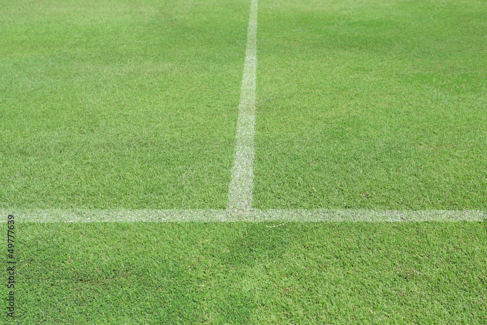 Fototapeta premium Green grass white line football pitch