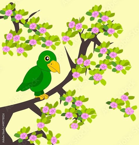 Green Parrot