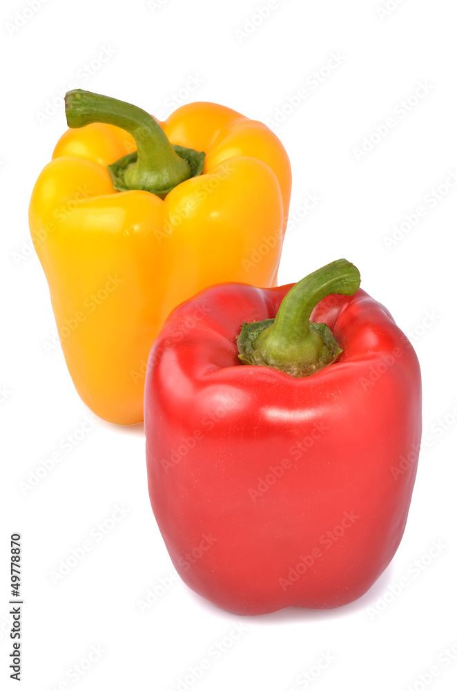 Fresh colored capsicum isolated on white background Fresh colored capsicum isolated on white background