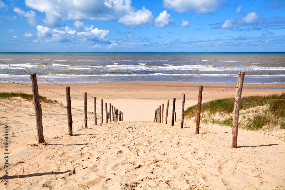 Obraz premium ścieżka do piaszczystej plaży nad Morzem Północnym