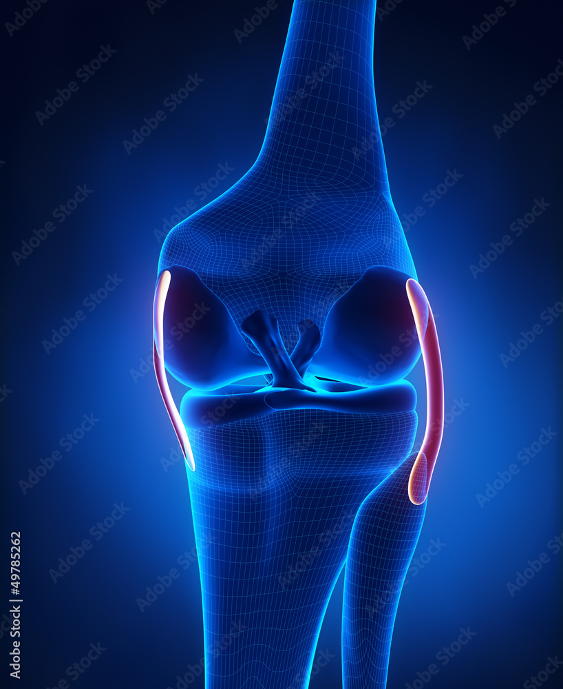 Knee visual data 3
