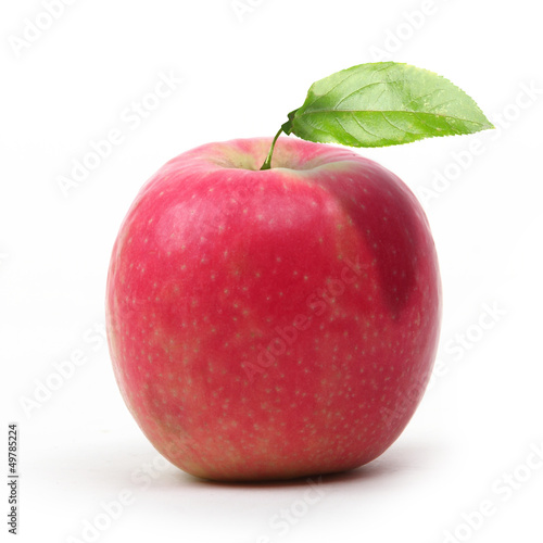 pomme pink