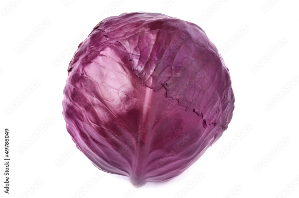 Red cabbage Red cabbage