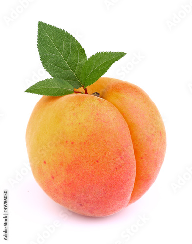 Ripe apricot with leaf