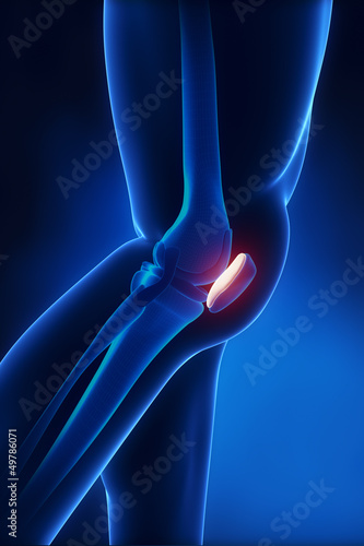 Patella anatomy lateral view photo